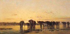 Éléphants africains